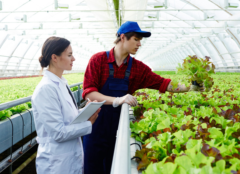 B2B Agriculture & Agri Chem, Veterinary and Farming